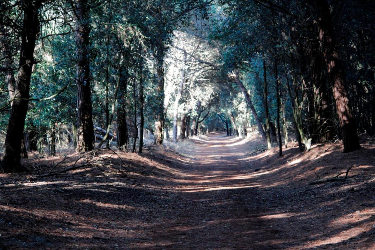 Villa Demi Lido di Pomposa Dış mekan fotoğraf