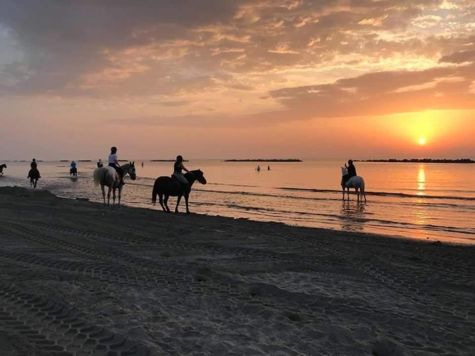 Villa Demi Lido di Pomposa Dış mekan fotoğraf
